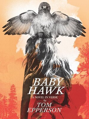 cover image of Baby Hawk